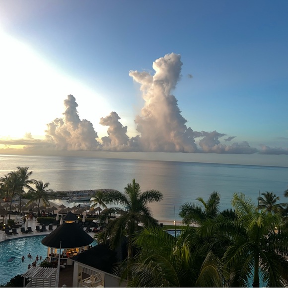 Meet your Posher, Tom - Picture 3 of 4